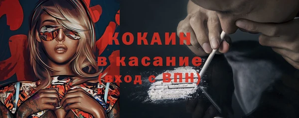 ешки Ельня