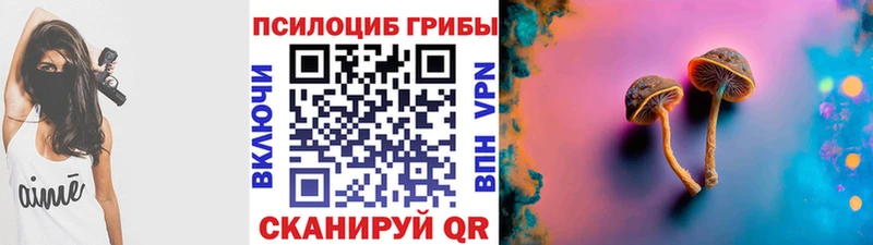 Псилоцибиновые грибы Psilocybe  где можно купить   Агидель 